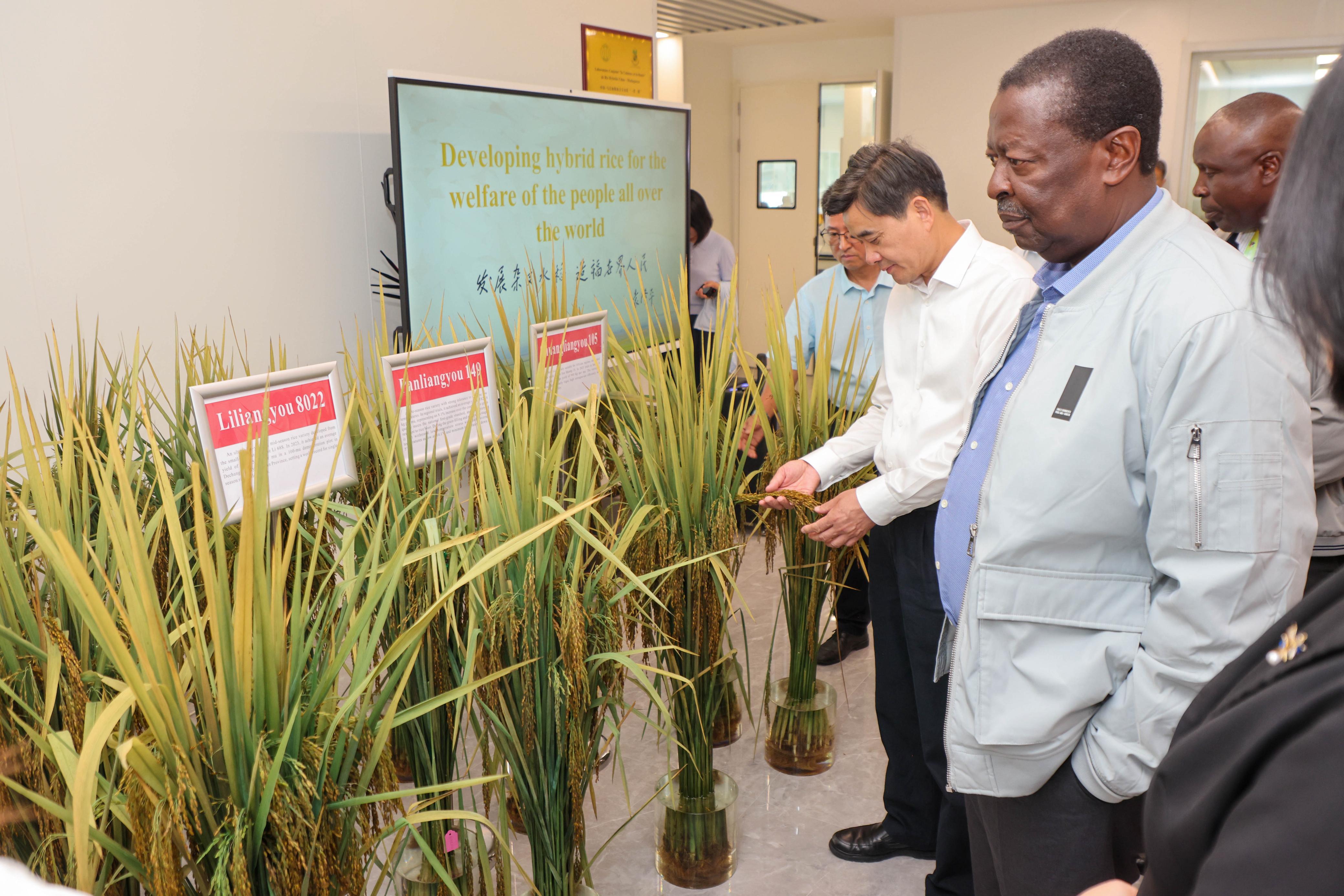 PCS Mudavadi the Hunan Hybrid Rice Research Center at the Hunan Academy of Agricultural Sciences (HUNAAS) in Mapoling, Changsha. 