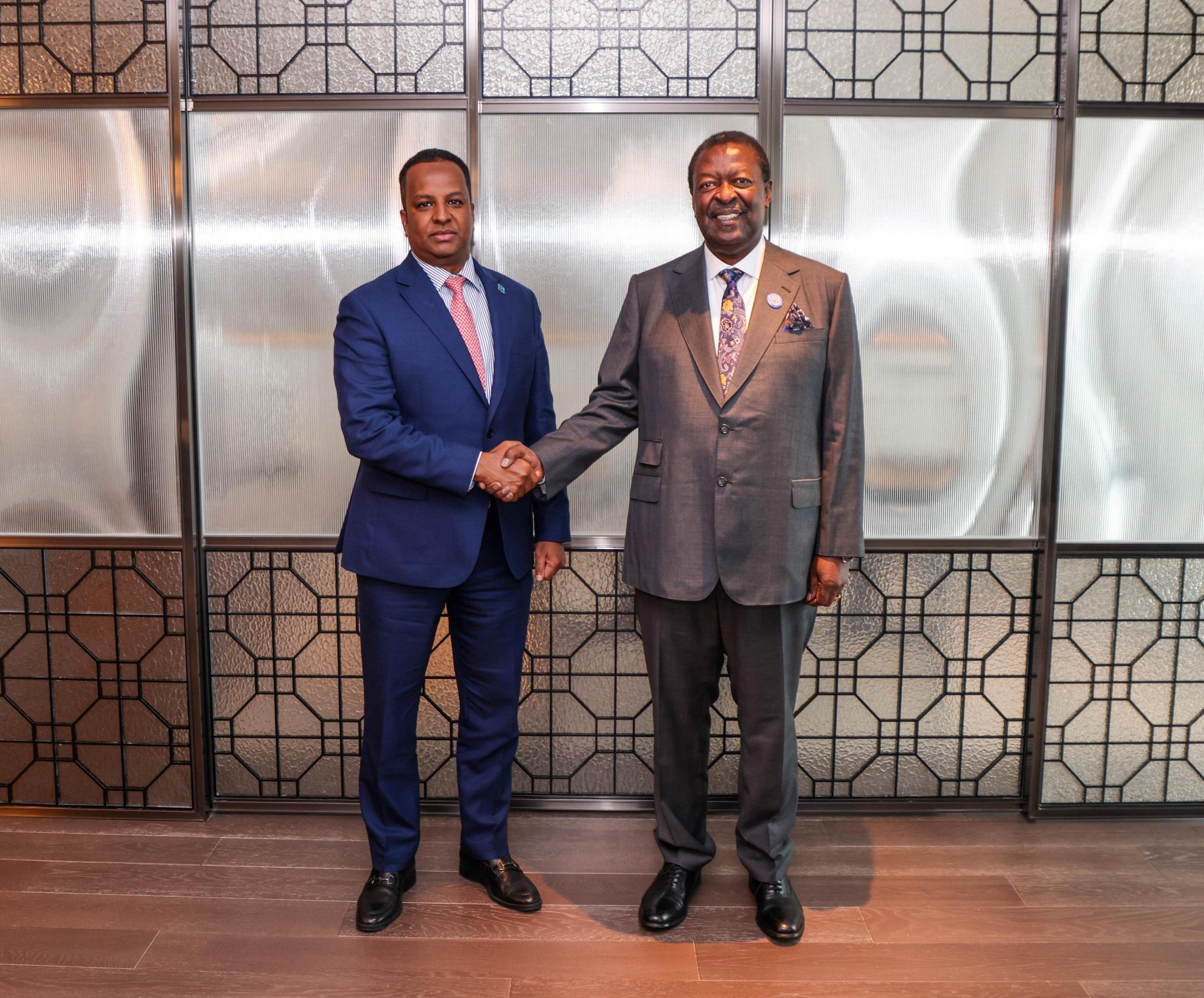 PCS Mudavadi with H.E. Mr. Abdisalam Abdi Ali, Minister of Foreign Affairs of the Federal Republic of Somalia