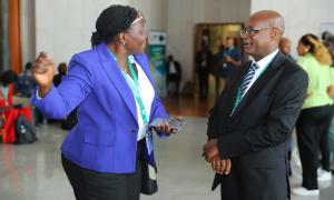 Officials from the African Union Directorate
