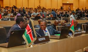 CONSULTATIONS AT THE AFRICAN UNION EXECUTIVE COUNCIL MEETING