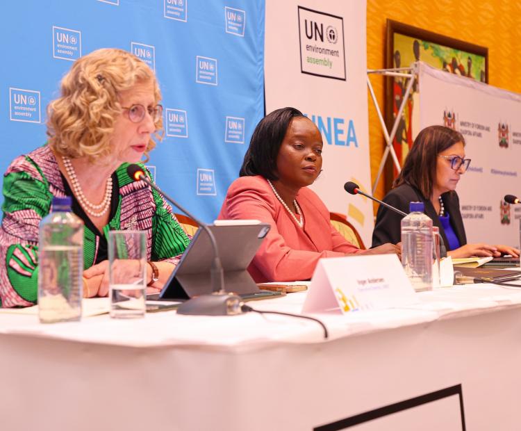 Kenya Set for UNEA-7 next month